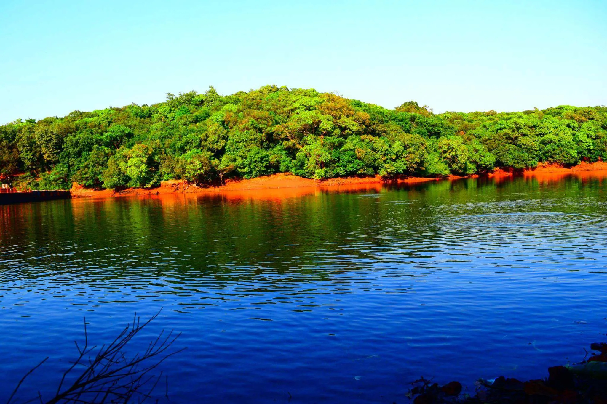 Charlotte Lake